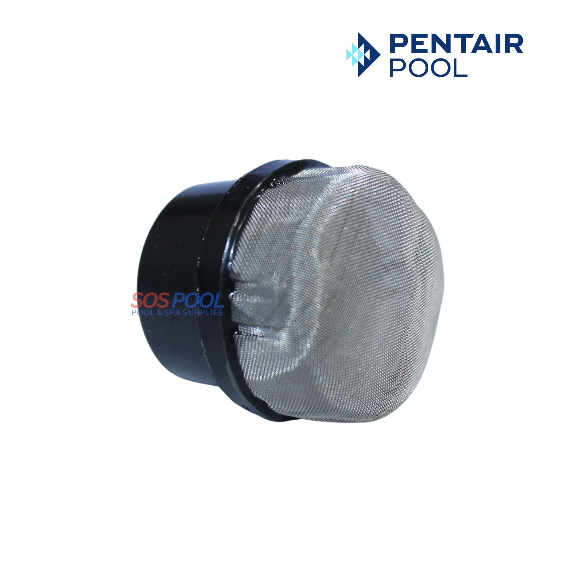 Pentair Air Bleeder Screen Cap Replacement for Clean & Clear Plus, EasyClean and Quad D.E Filters 1/4" | 190106Z