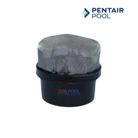 Pentair Air Bleeder Screen Cap Replacement for Clean & Clear Plus, EasyClean and Quad D.E Filters 1/4" | 190106Z