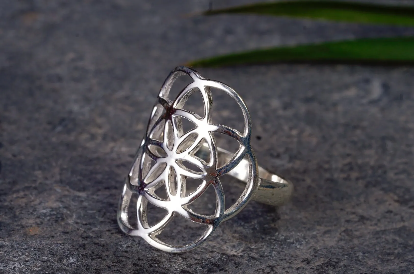 Ring ~ SAMEN DES LEBENS ~