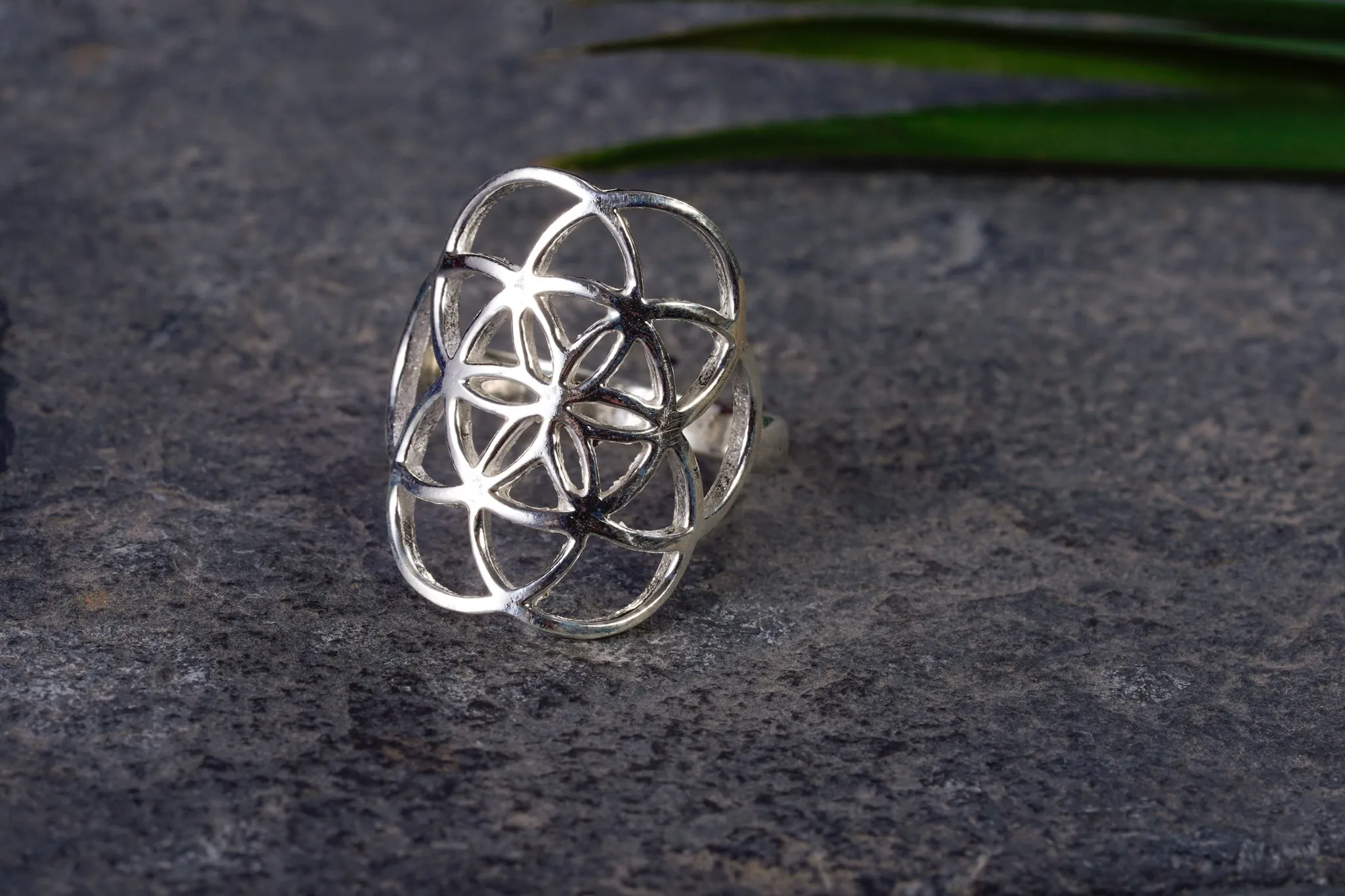 Ring ~ SAMEN DES LEBENS ~
