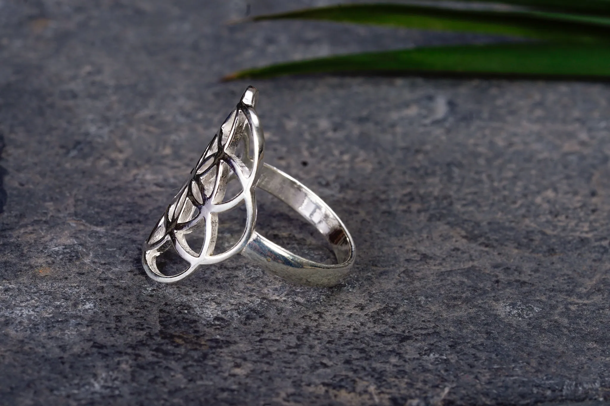 Ring ~ SAMEN DES LEBENS ~