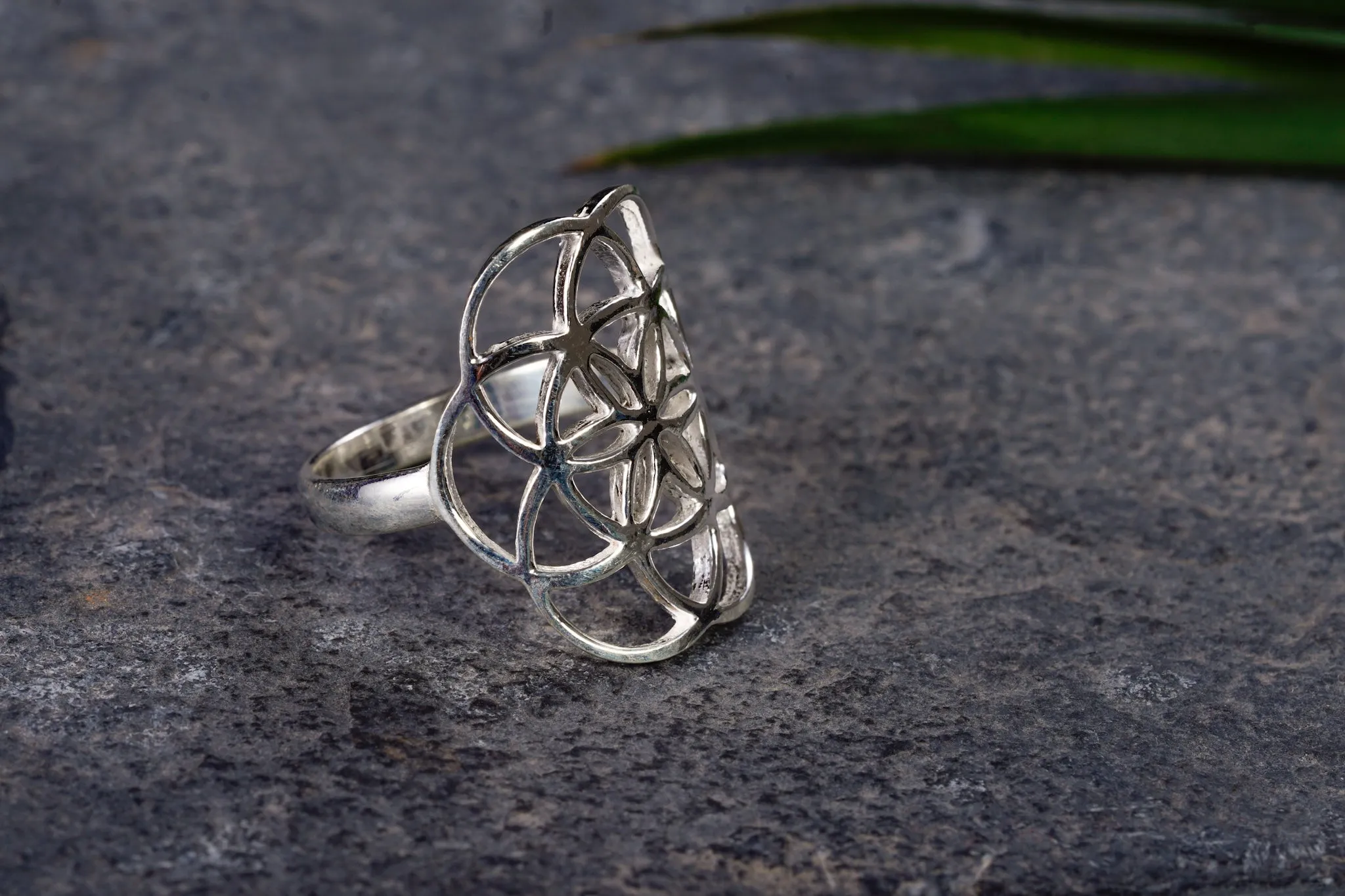 Ring ~ SAMEN DES LEBENS ~