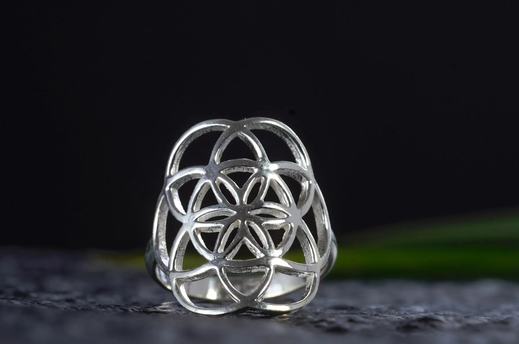 Ring ~ SAMEN DES LEBENS ~