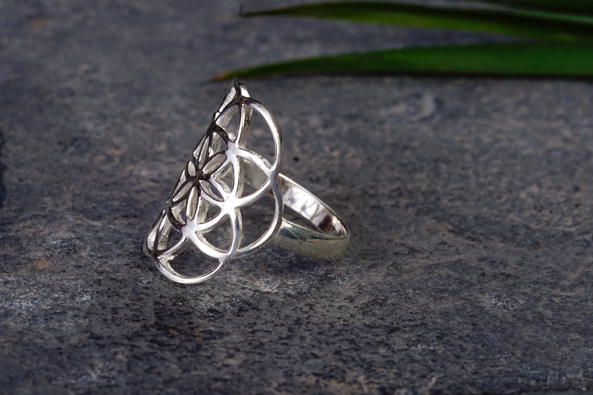 Ring ~ SAMEN DES LEBENS ~