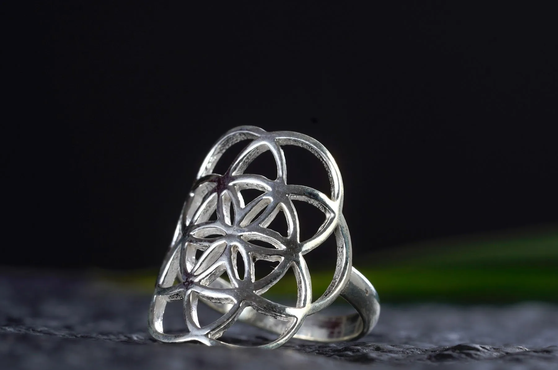 Ring ~ SAMEN DES LEBENS ~