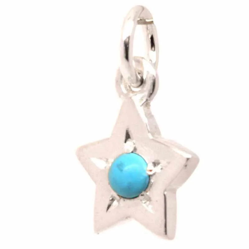 Silver Birthstone Star Charm